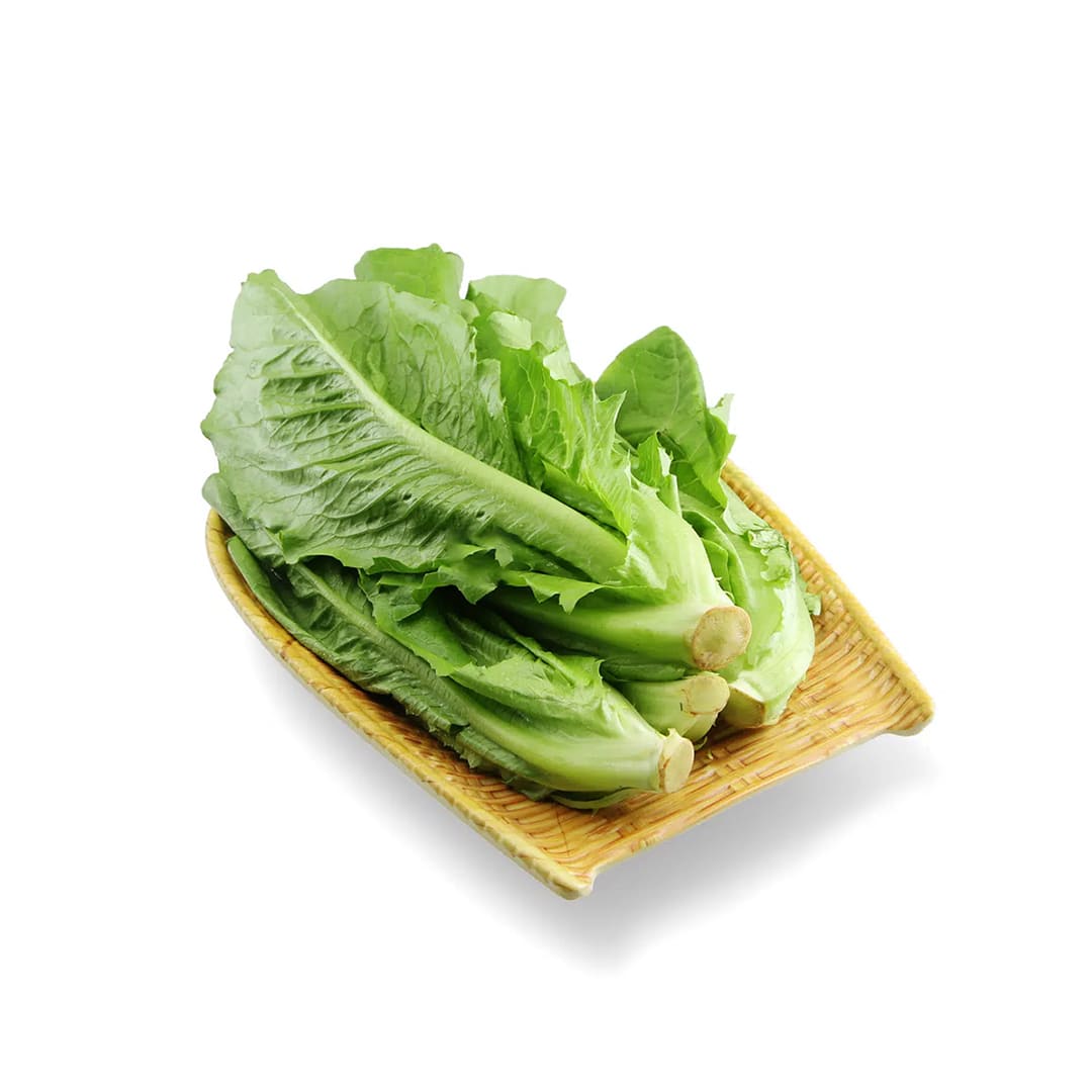 Romaine Lettuce