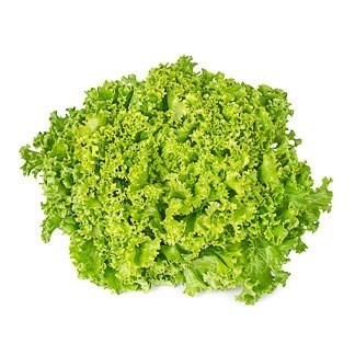 Lollo Bionda Lettuce