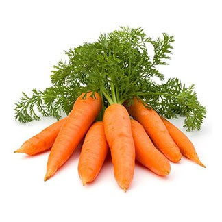 Carrot