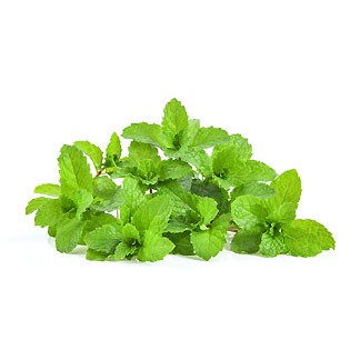 Mint Leaves