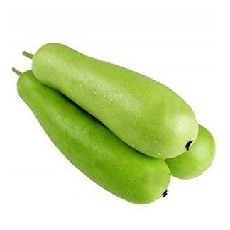 Bottle Gourd