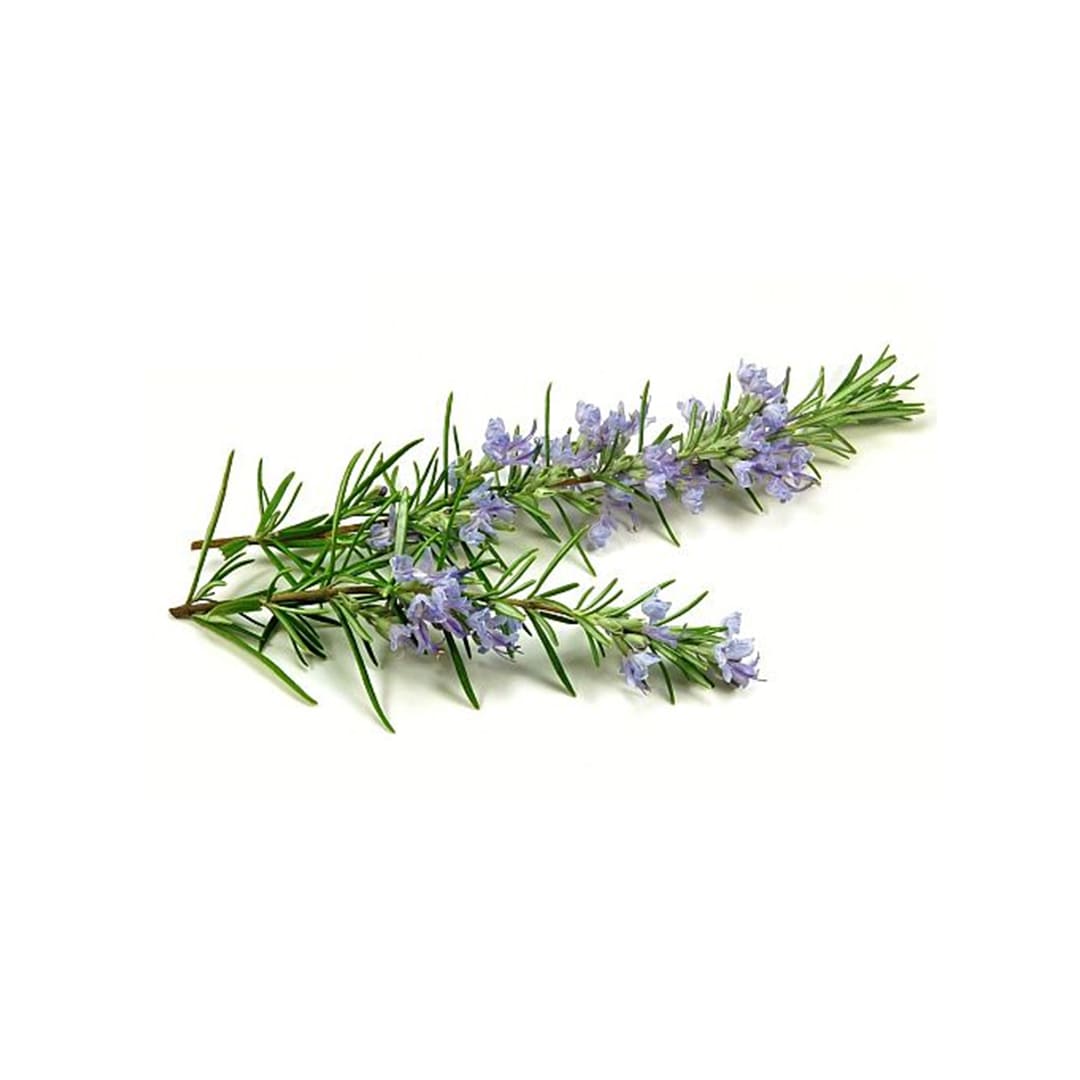 Rosemary
